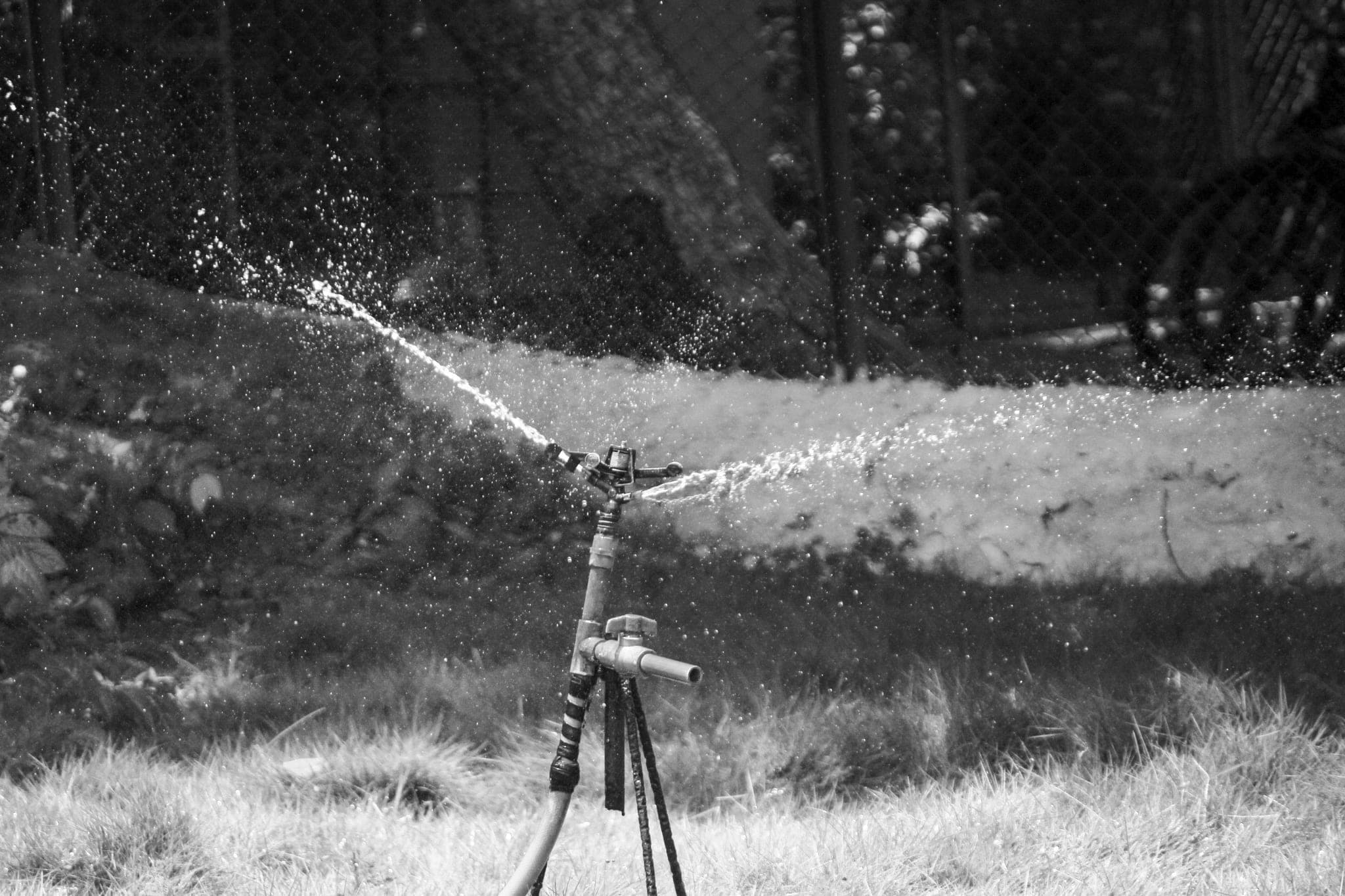 A garden sprinkler throwing water across a lawn