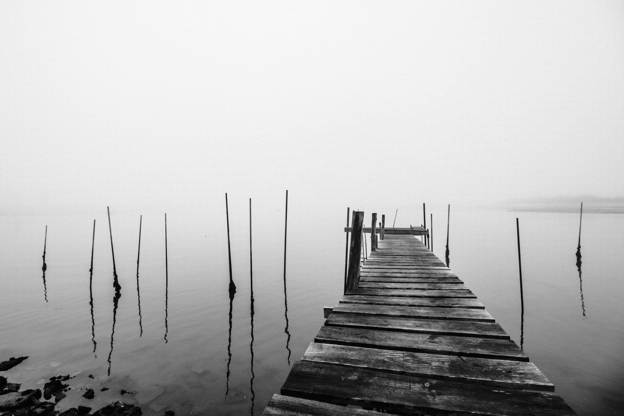 A wooden jetty running out into still water and fog, thin poles standing in the water beside it