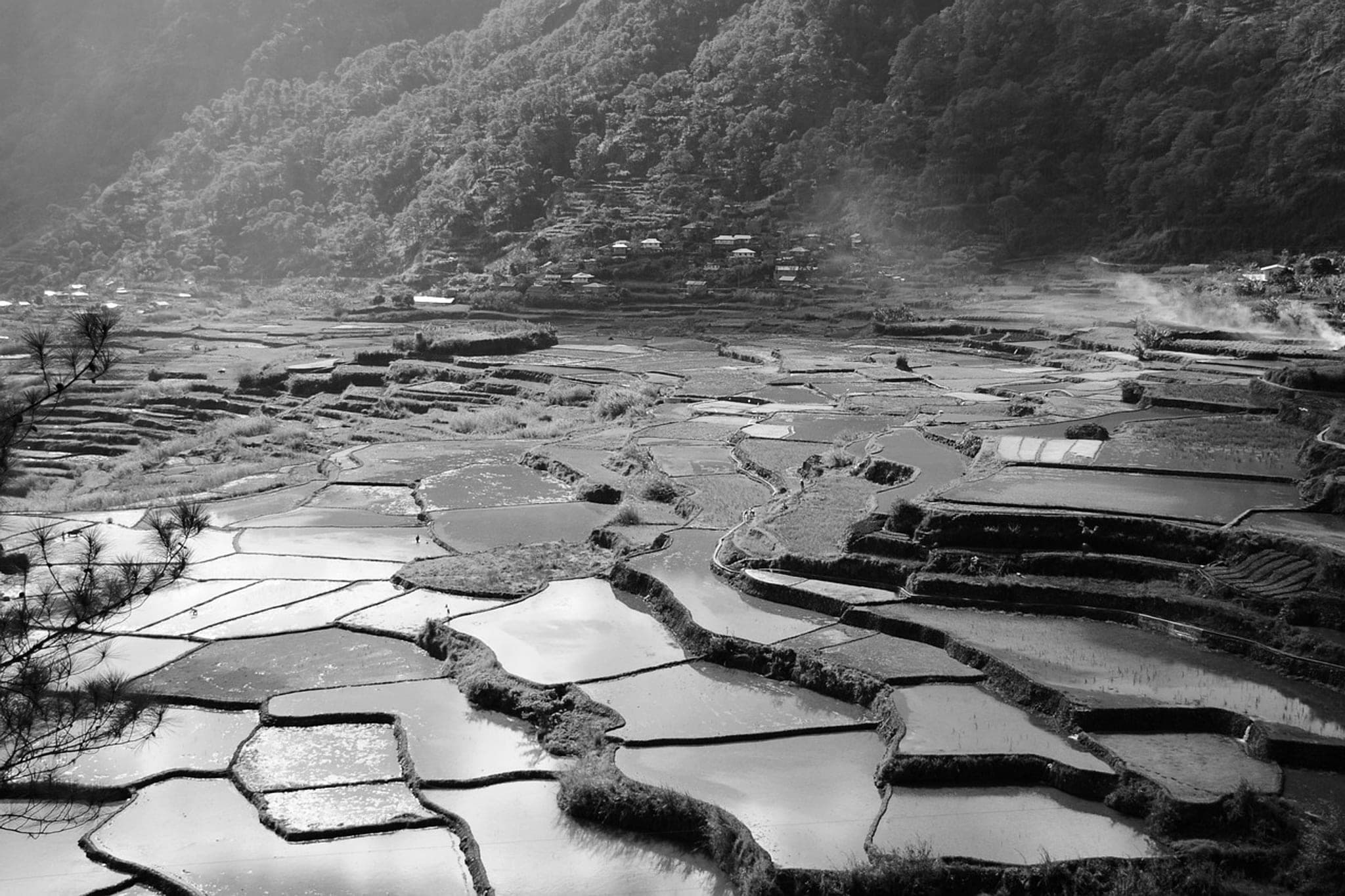 Flooded rice terraces stepping down a hillside, each level held at its own depth by an earth bund