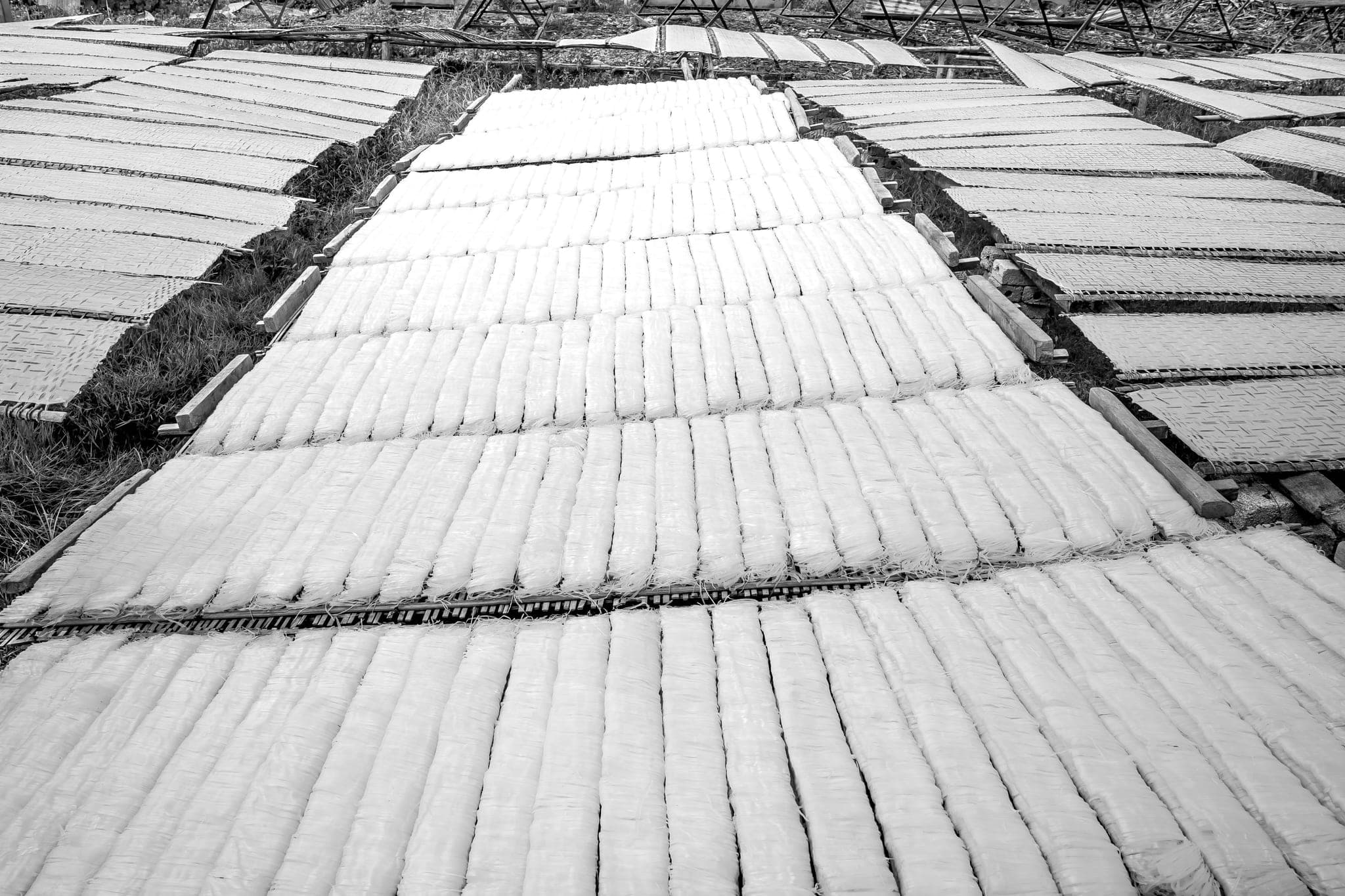 Rows of rice noodles drying on bamboo trays in the open air