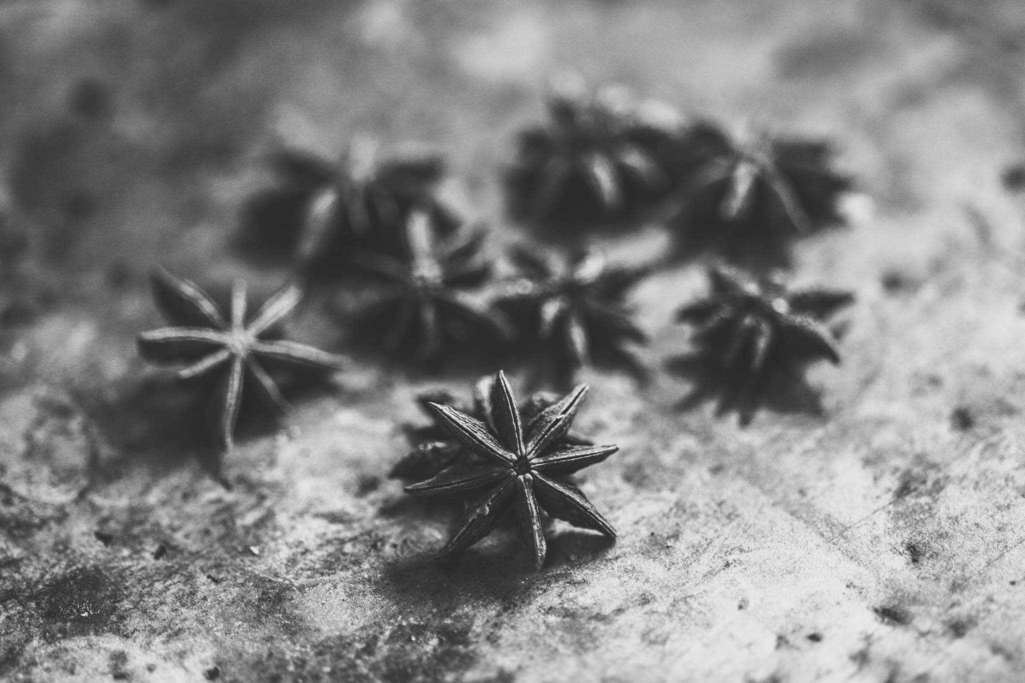 Dried star anise scattered on a rough stone surface