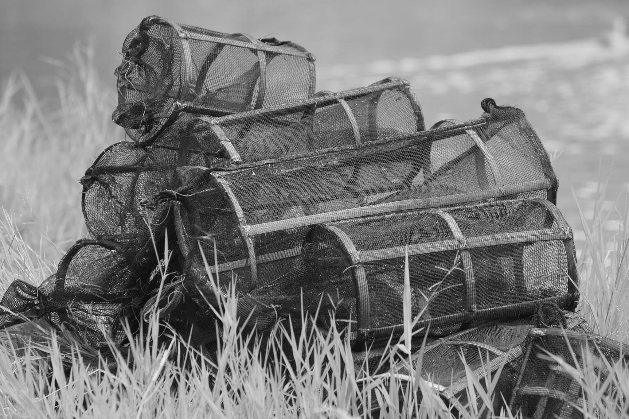 Mesh fish traps on bamboo frames, stacked on a grassy bank
