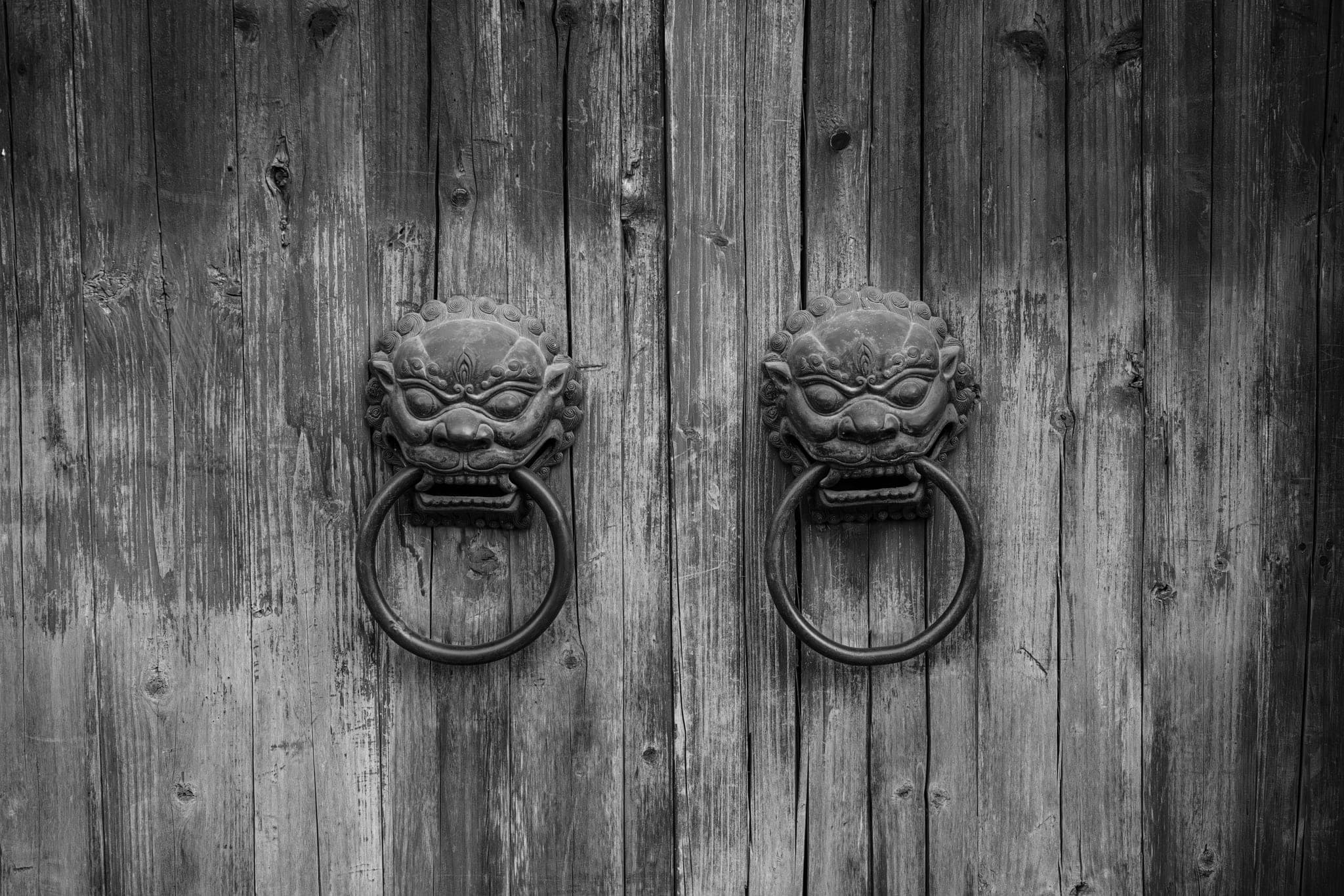 Two lion-head door knockers on an old wooden door