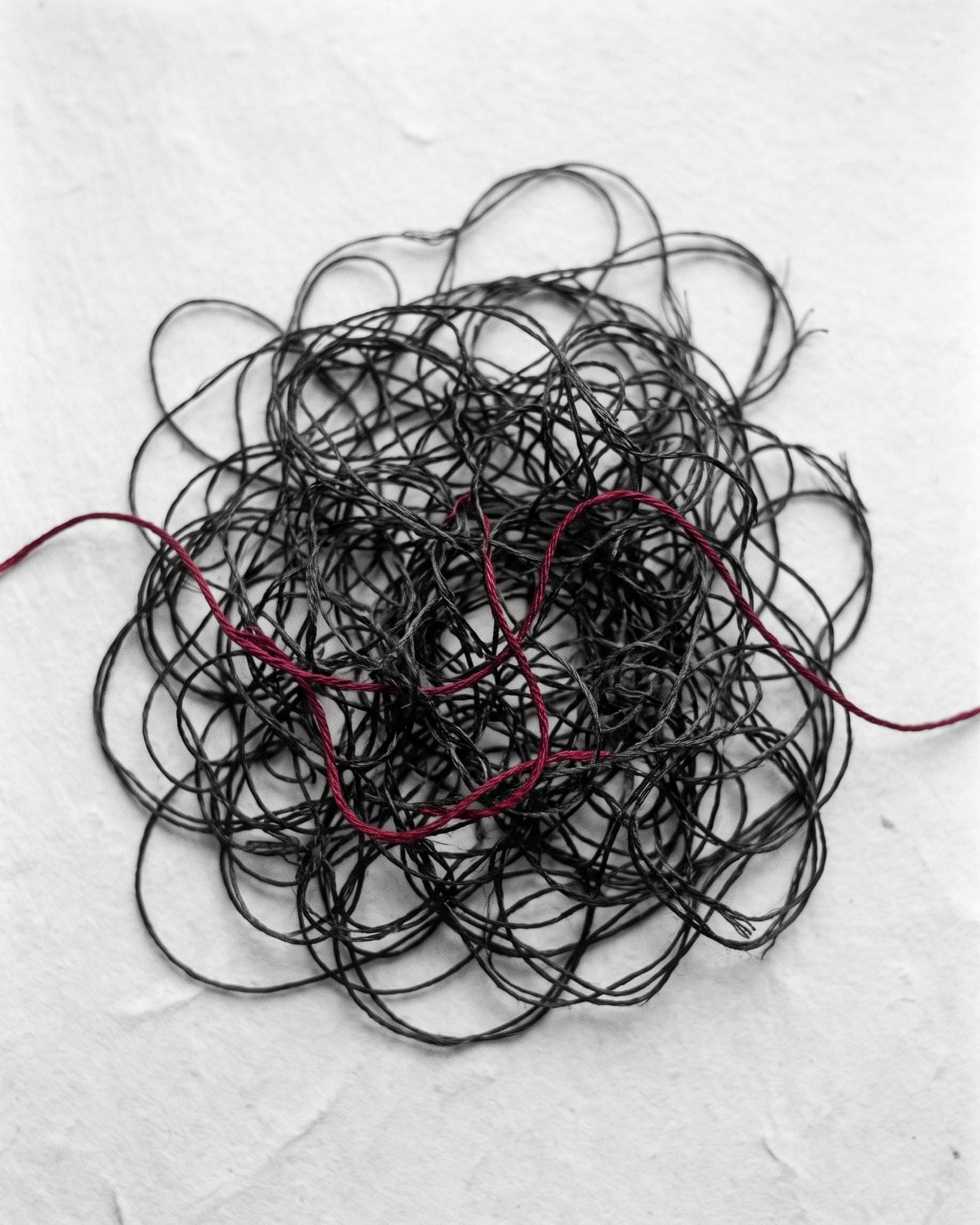 A tangle of threads with one crimson thread traced through it