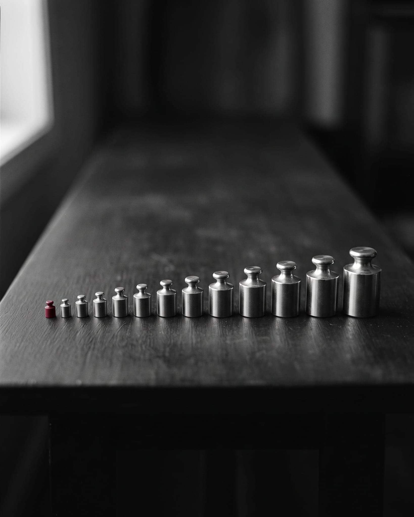 A row of weights ascending in size, exactly one crimson