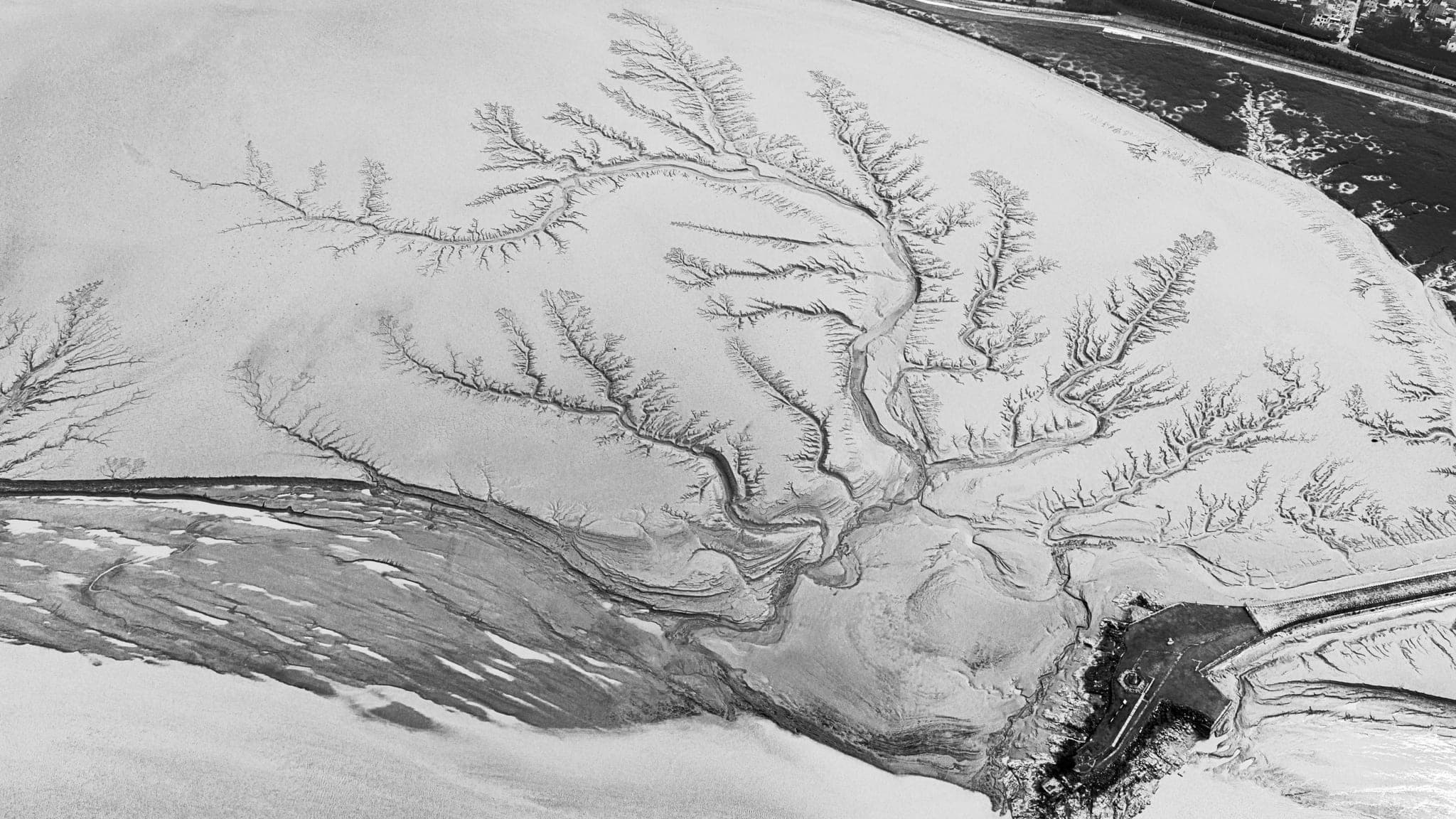 Seen from above, a river delta splitting into many branches