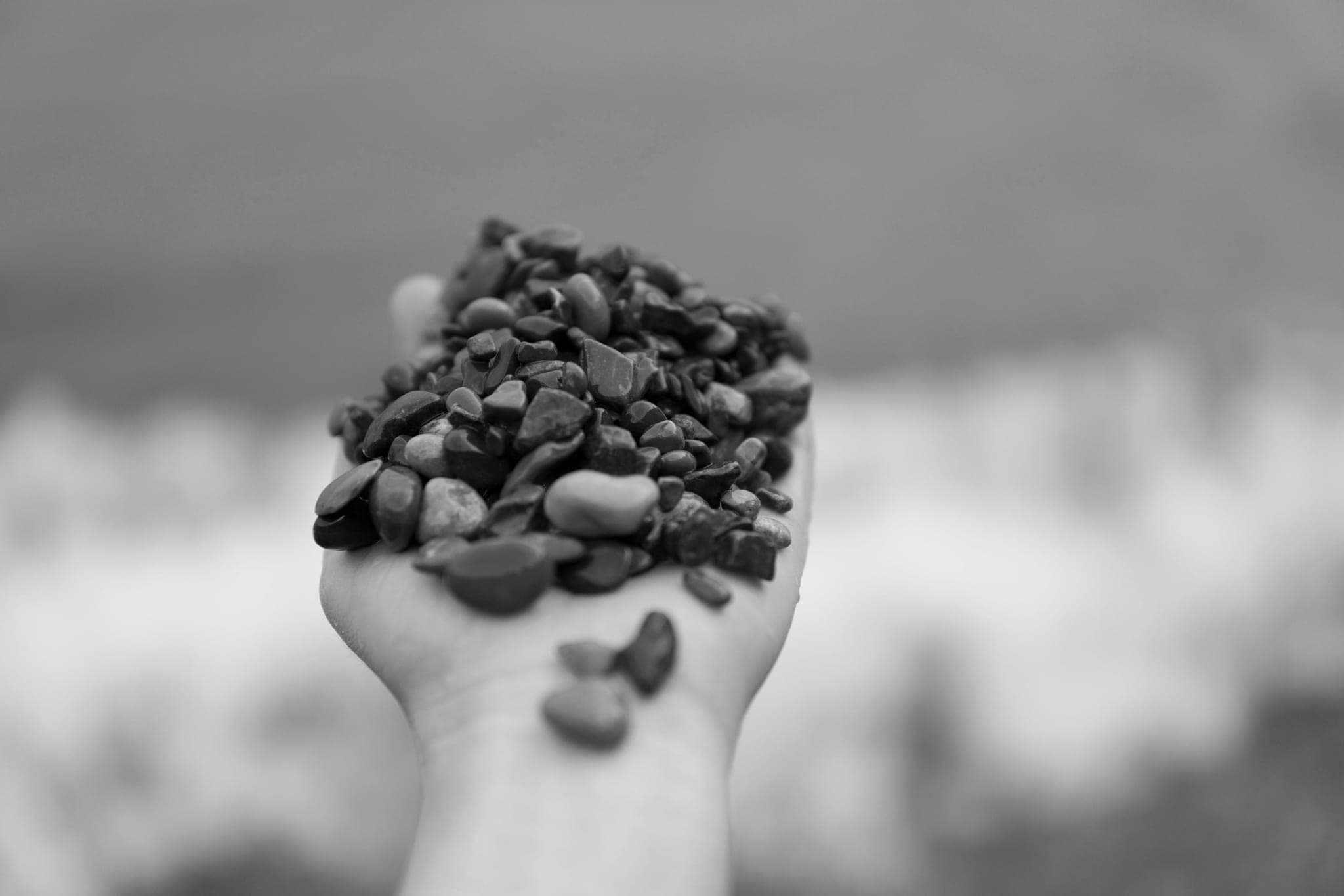 A hand holding several wet pebbles