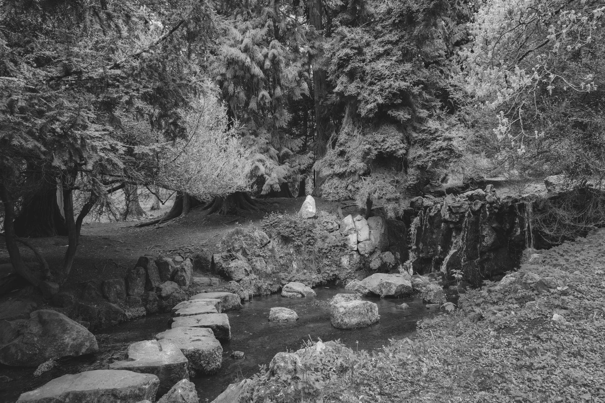 Stone slabs laid across a small forest stream