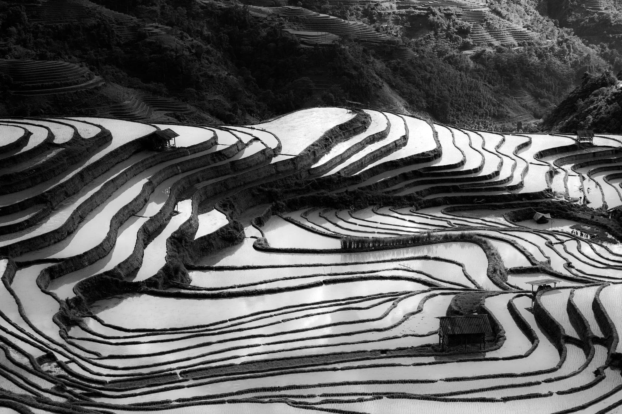 Flooded rice terraces curving along a hillside, each level holding its own water, a few small huts on the banks