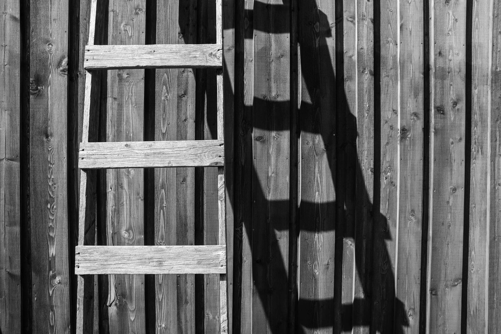 A wooden ladder leaning against a plank wall, its shadow falling beside it