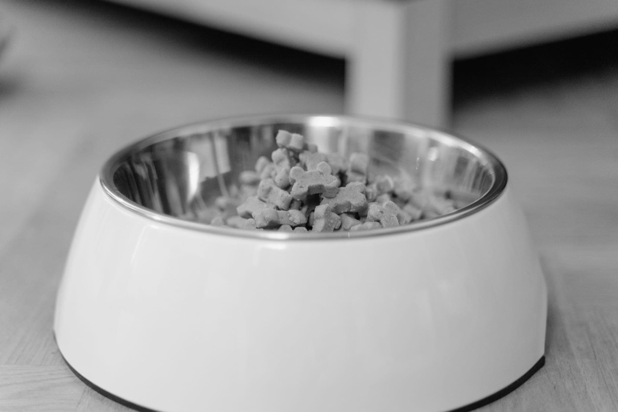 A white steel-lined bowl of bone-shaped treats on a wooden floor