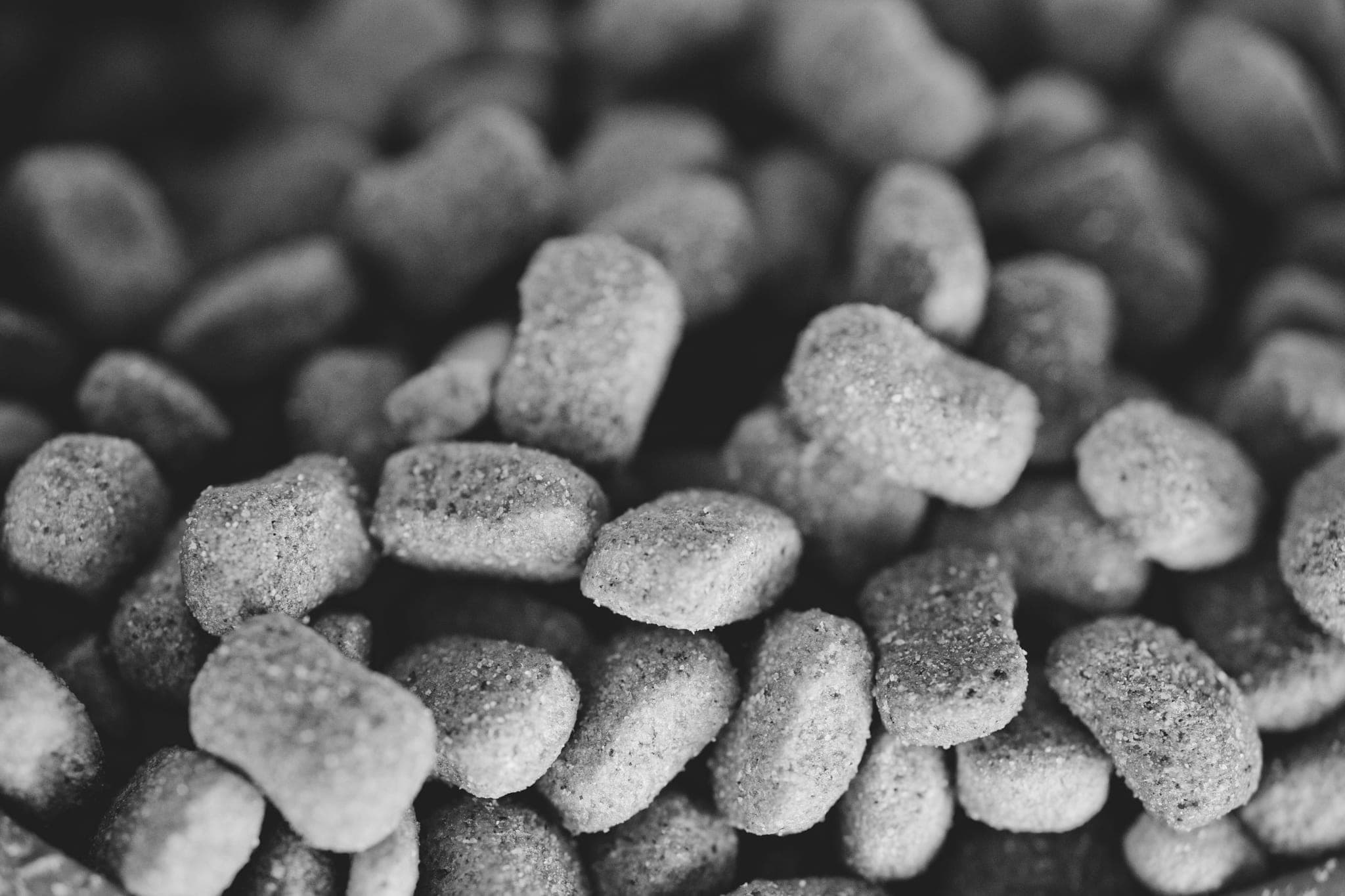 Close-up of dry pet food kibble