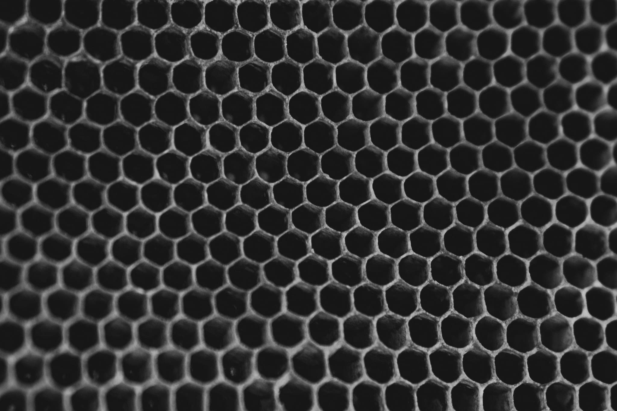 Close-up of empty honeycomb cells, each one the same hexagon