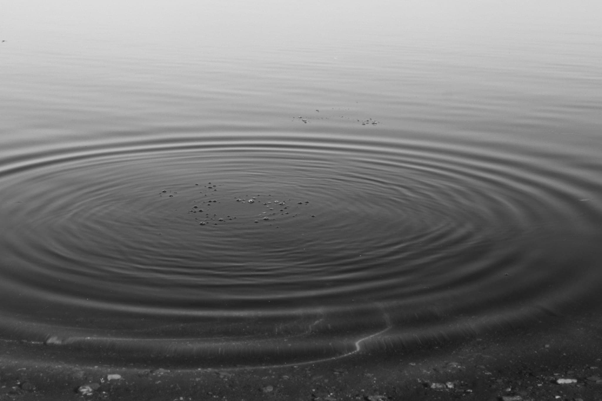 Concentric ripples spreading across still water