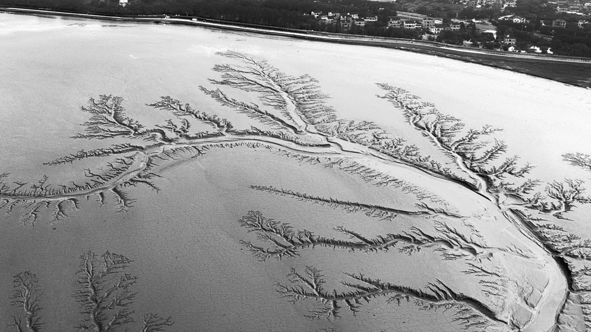 Aerial view of a mudflat where water branches into countless fine channels
